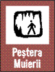 Pestera